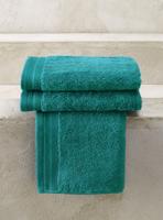 De Witte Lietaer De Witte Lietaer gastendoek Excellence 40x60 lake green