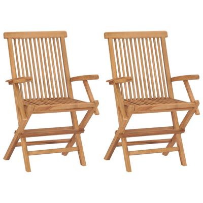 Tuinstoelen 2 st inklapbaar massief teakhout