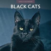 Zwarte Katten Kalender 2026