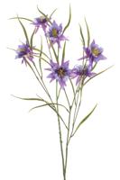 Aquilegia spray purple 84 cm Emerald - Emerald