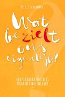 Wat bezielt ons eigenlijk? (Paperback) - thumbnail