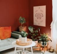 Vlinder boho poster