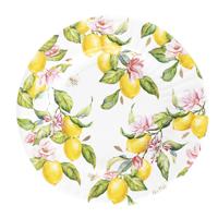 Feestbordjes - 8x - citroen thema - zomer/bbq - rond - karton - 21 cm - gebaksbordjes