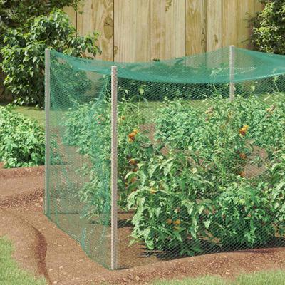 Vogelbeschermnet Groen 2 x 25 m HDPE