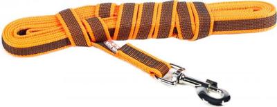 Lange lijn hond - Antislip - 20mm x 5m - Met handvat - Oranje