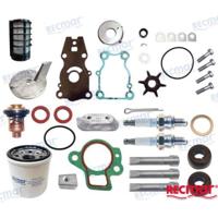 REPUESTOS MOTORES RECKITFT25B - KIT MANTENIMIENTO YAMAHA