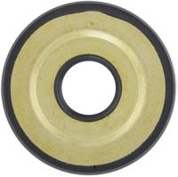 RMS keerring simmerring 20x62x6.5