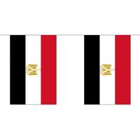 2x Polyester vlaggenlijn van Egypte 3 meter   -