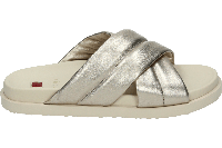 Hogl 100821 - alle Hogl 100821 - alle