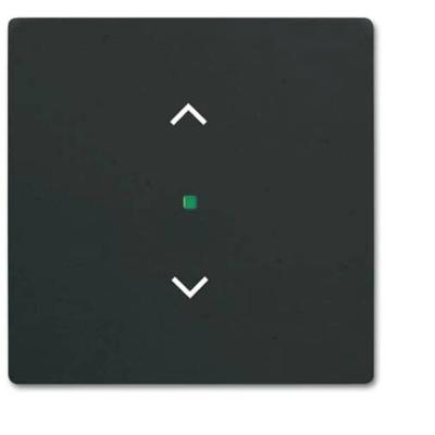 Busch-Jaeger 1-voudig Afdekking free@home Diepzwart (RAL 9005), Zwart 2CKA006220A0500