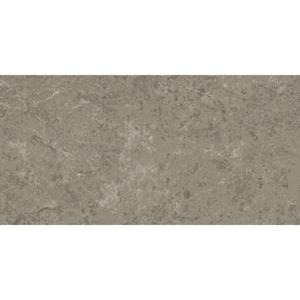 Atlas Concorde Marvel Meraviglia AJHW vloertegel 60x120cm 9mm glans ret.grigio eleg.lap.