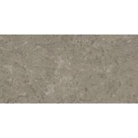 Atlas Concorde Marvel Meraviglia AJHW vloertegel 60x120cm 9mm glans ret.grigio eleg.lap.
