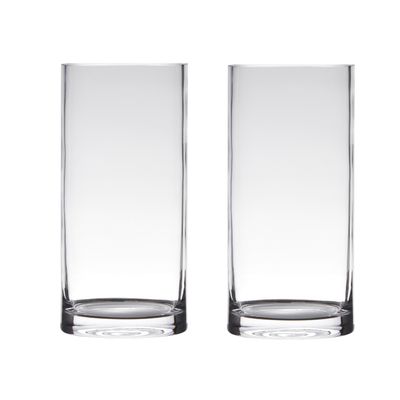 Set van 2x stuks transparante home-basics cylinder vorm vaas/vazen van glas 25 x 12 cm