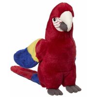 Pluche papegaai rood 21 cm - thumbnail