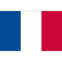 Vlag Frankrijk - 90 x 150 cm - Franse Vlag - France