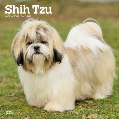 Shih Tzu Kalender 2026