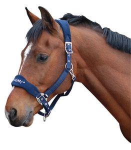 Pagony halster Reno donkerblauw maat:pony