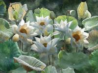 Lotusbloemen 70x50cm Tuinschilderij - Customize it