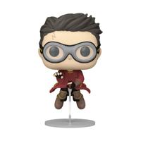 Harry Potter POP! Movies Vinyl Figure Harry W/Broom(Quidditch) 9 Cm