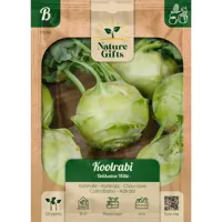 Koolrabi delikatess witte 100st