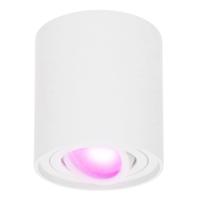 Ray smart Opbouwspot - Plafondspot - Kantelbaar - Rond GU10 - RGBWW - Wifi + Bluetooth - Google Home, Amazon Alexa en Siri - Wit - Bestuurbaar via App en Stem
