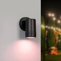 HOFTRONIC™ Otey - Smart LED LED Wandlamp Zwart - Downlight - GU10 - RGB WW - Wifi/Bluetooth - IP44 waterdicht - Voor binnen & buiten - Wandspot - Polycarbonaat