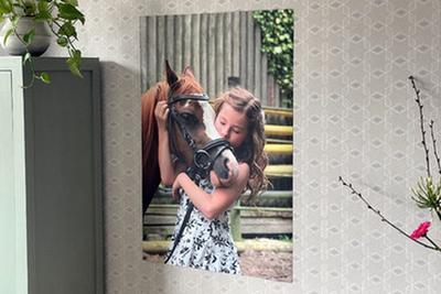 Posters 100x240 cm