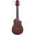 Ibanez AUC14 Open Pore Violin Sunburst concert ukelele met gigbag