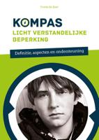 Licht verstandelijke beperking (Paperback)