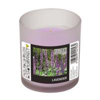 Conpax Candles Geurkaars - in glas - lavendel aroma - 8 branduren - 7 x 8 cm