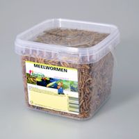 Meelwormen 1.2 liter - Suren Collection