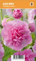V.I.P.S. Alcea rosea ''Pleniflora Rose'' - Stokroos (P9) V.I.P.S. Alcea rosea ''Pleniflora Rose'' - Stokroos (P9)