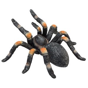 Mojo wildlife rode tarantula 387213