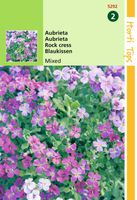Aubrietia Hybrida Grandiflora Gemengd - Hortitops