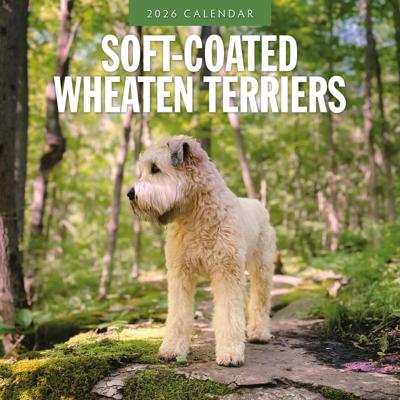 Softcoated Wheaten Terrier Kalender 2026