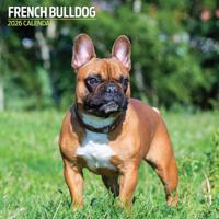 Franse Bulldog Kalender 2026