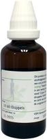 VSM Echinacea pallida oer (50 ml)