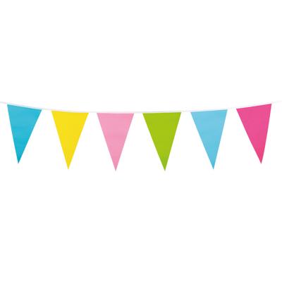 Boland PE vlaggenlijn met puntvlaggetjes - 10 meter - multi kleuren - tuinfeest - verjaardag