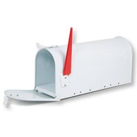 Burg Wachter US mailbox Wit