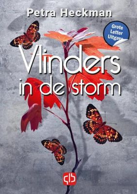 Vlinders in de storm - Petra Heckman - Hardcover (9789036440042)