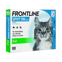 Frontline Kat spot on