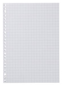 HEMA Ringbandpapier Geruit 10x10mm - 100 Stuks