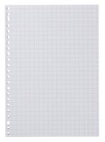 HEMA Ringbandpapier Geruit 10x10mm - 100 Stuks HEMA Ringbandpapier Geruit 10x10mm - 100 Stuks