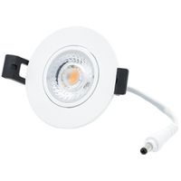 LED Camini Downlight rond kantelbaar 8W 36º 2.700K/DTW IP44 dimbaar Wit