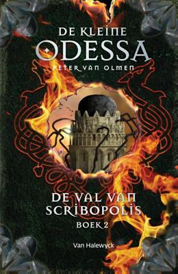 De val van Scribopolis (Hardback)
