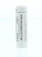 Homeoden Heel Bellis perennis 200K 6 Gram