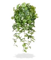 Monstera kunst hangplant 80cm - bont