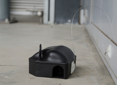Plak-anker voor voerdoos tweezijdig 25cm + haak (set=10st)