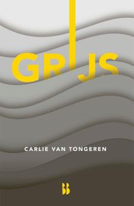 Grijs - Carlie van Tongeren - ebook