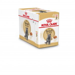 Royal Canin British Shorthair Adult natvoer 4 dozen (48 x 85 g)